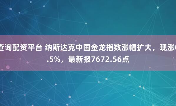 查询配资平台 纳斯达克中国金龙指数涨幅扩大，现涨0.5%，最新报7672.56点