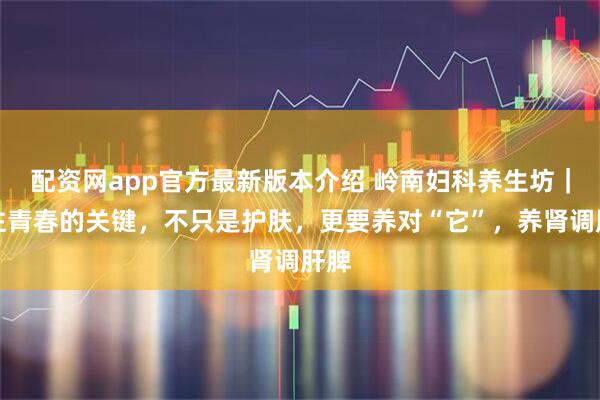 配资网app官方最新版本介绍 岭南妇科养生坊|留住青春的关键,不只是护肤,更要养对“它”,养肾调肝脾