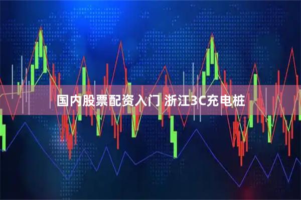 国内股票配资入门 浙江3C充电桩